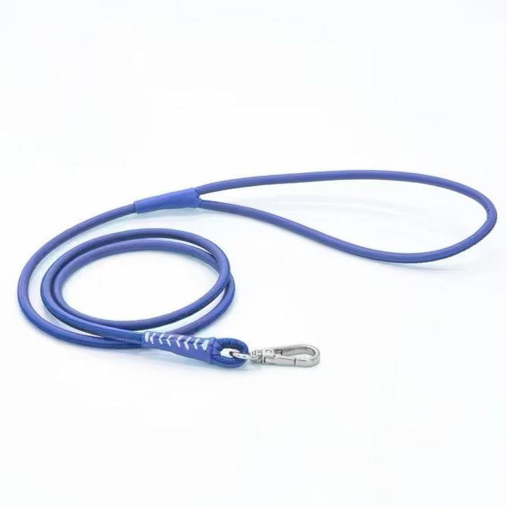 Leather Duo Leash