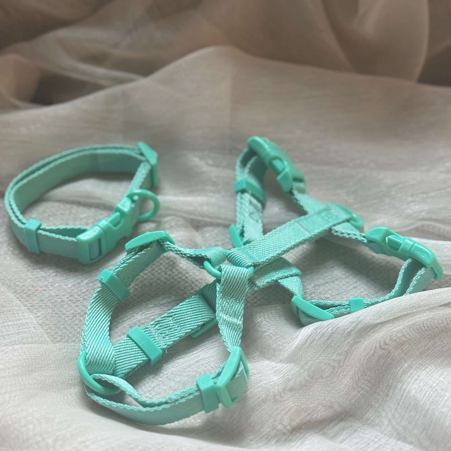 Macaron Color Walking Set