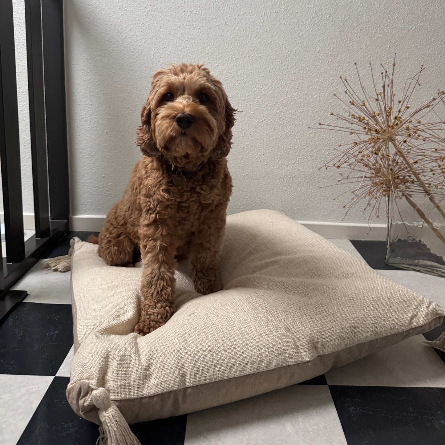 Cozy tassel hondenkussen