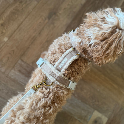Teddy Harness