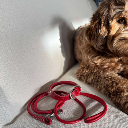 Leather Duo Leash