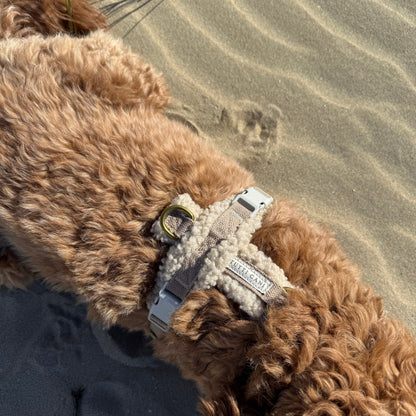 Teddy Harness
